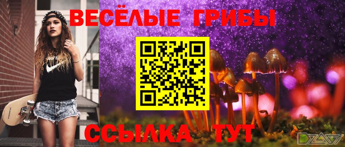 Галлюциногенные грибы Cubensis Чапаевск